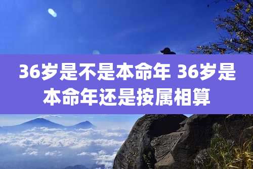 36岁是不是本命年 36岁是本命年还是按属相算