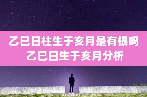 乙巳日柱生于亥月是有根吗 乙巳日生于亥月分析