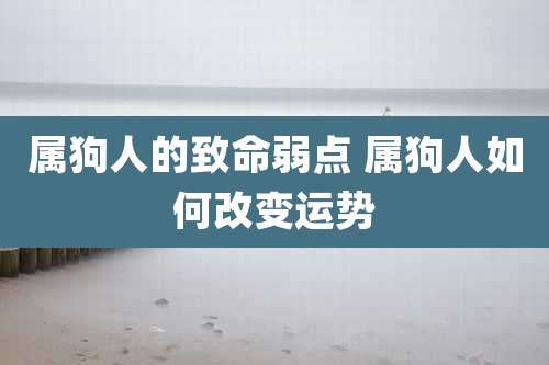 属狗人的致命弱点 属狗人如何改变运势