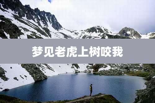 梦见老虎上树咬我