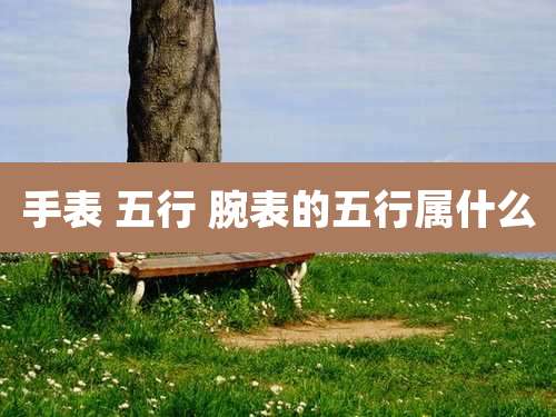 手表 五行 腕表的五行属什么