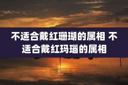 不适合戴红珊瑚的属相 不适合戴红玛瑙的属相