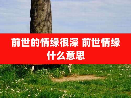 前世的情缘很深 前世情缘什么意思