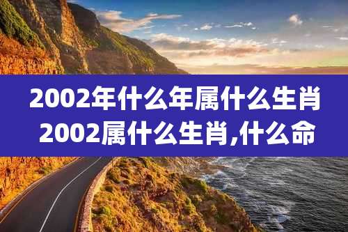 2002年什么年属什么生肖 2002属什么生肖,什么命