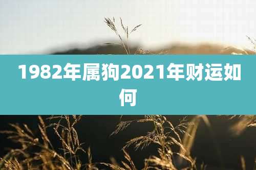 1982年属狗2021年财运如何