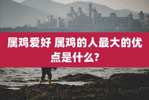 属鸡爱好 属鸡的人最大的优点是什么?