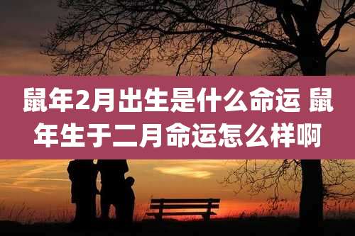 鼠年2月出生是什么命运 鼠年生于二月命运怎么样啊
