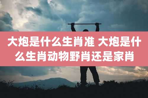 大炮是什么生肖准 大炮是什么生肖动物野肖还是家肖