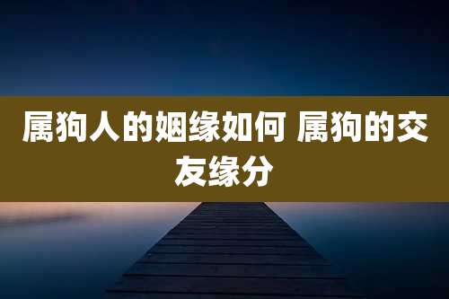 属狗人的姻缘如何 属狗的交友缘分