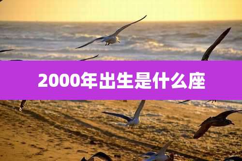 2000年出生是什么座