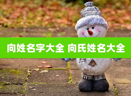 向姓名字大全 向氏姓名大全