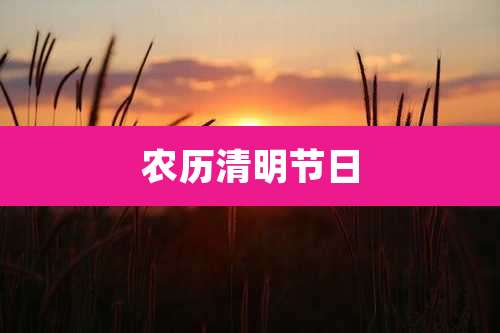 农历清明节日