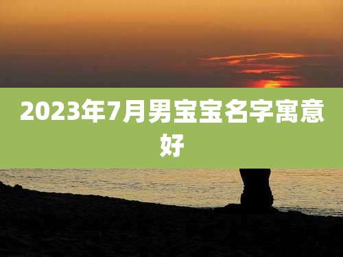 2023年7月男宝宝名字寓意好