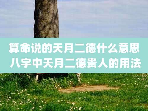 算命说的天月二德什么意思 八字中天月二德贵人的用法