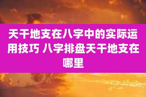 天干地支在八字中的实际运用技巧 八字排盘天干地支在哪里