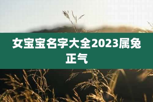 女宝宝名字大全2023属兔正气