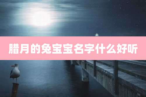 腊月的兔宝宝名字什么好听