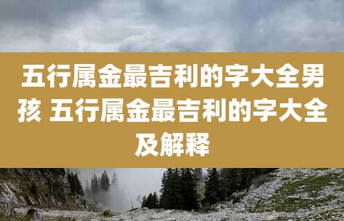 五行属金最吉利的字大全男孩 五行属金最吉利的字大全及解释