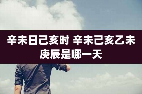 辛未日己亥时 辛未己亥乙未庚辰是哪一天