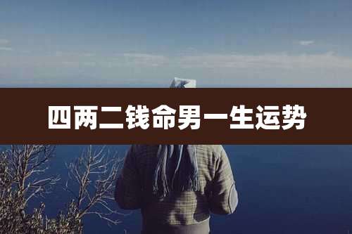 四两二钱命男一生运势