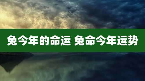 兔今年的命运 兔命今年运势