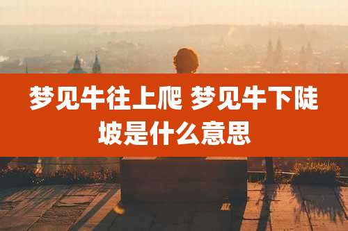 梦见牛往上爬 梦见牛下陡坡是什么意思
