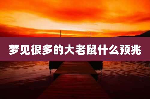 梦见很多的大老鼠什么预兆