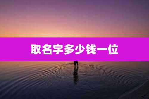 取名字多少钱一位