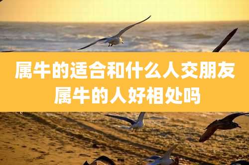 属牛的适合和什么人交朋友 属牛的人好相处吗