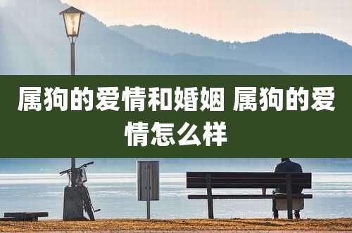 属狗的爱情和婚姻 属狗的爱情怎么样