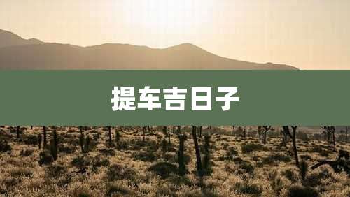 提车吉日子
