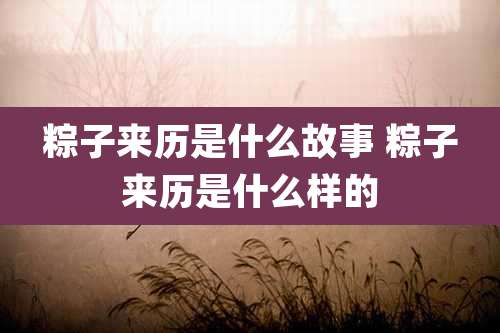 粽子来历是什么故事 粽子来历是什么样的