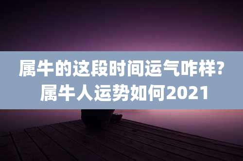 属牛的这段时间运气咋样? 属牛人运势如何2021