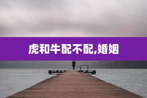 虎和牛配不配,婚姻