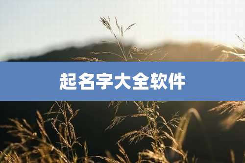 起名字大全软件