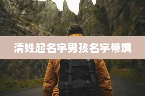 清姓起名字男孩名字带飒