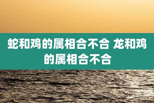 蛇和鸡的属相合不合 龙和鸡的属相合不合