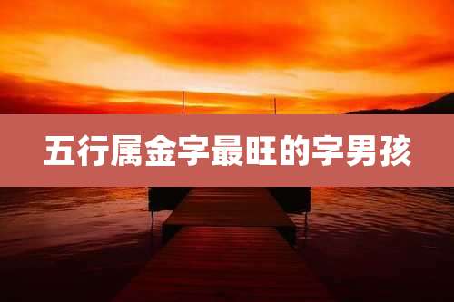 五行属金字最旺的字男孩