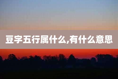 豆字五行属什么,有什么意思