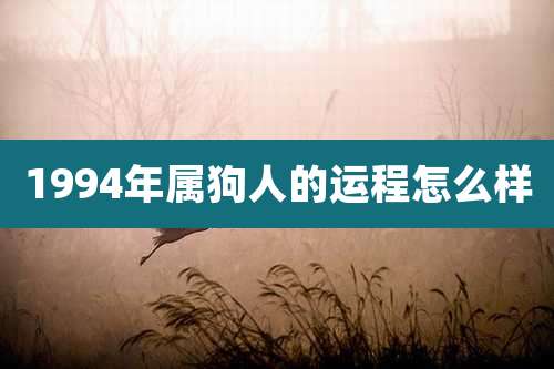1994年属狗人的运程怎么样