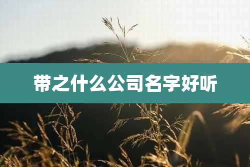 带之什么公司名字好听