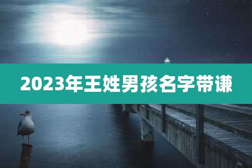 2023年王姓男孩名字带谦
