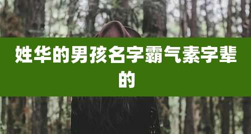 姓华的男孩名字霸气素字辈的