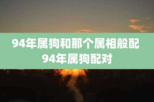 94年属狗和那个属相般配 94年属狗配对