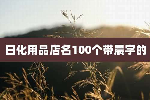 日化用品店名100个带晨字的