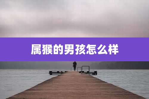 属猴的男孩怎么样