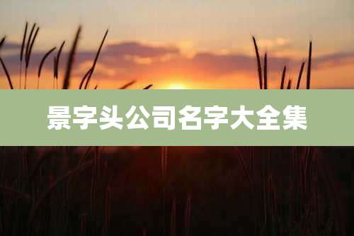 景字头公司名字大全集