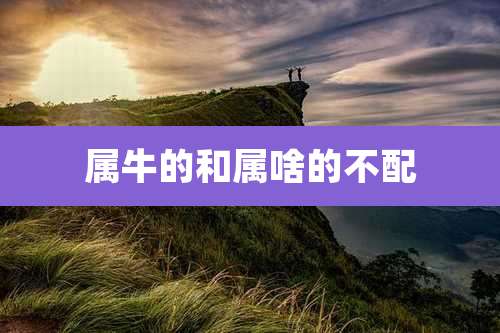 属牛的和属啥的不配