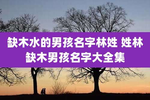 缺木水的男孩名字林姓 姓林缺木男孩名字大全集