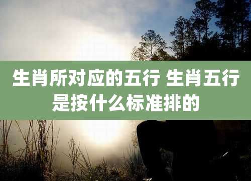 生肖所对应的五行 生肖五行是按什么标准排的